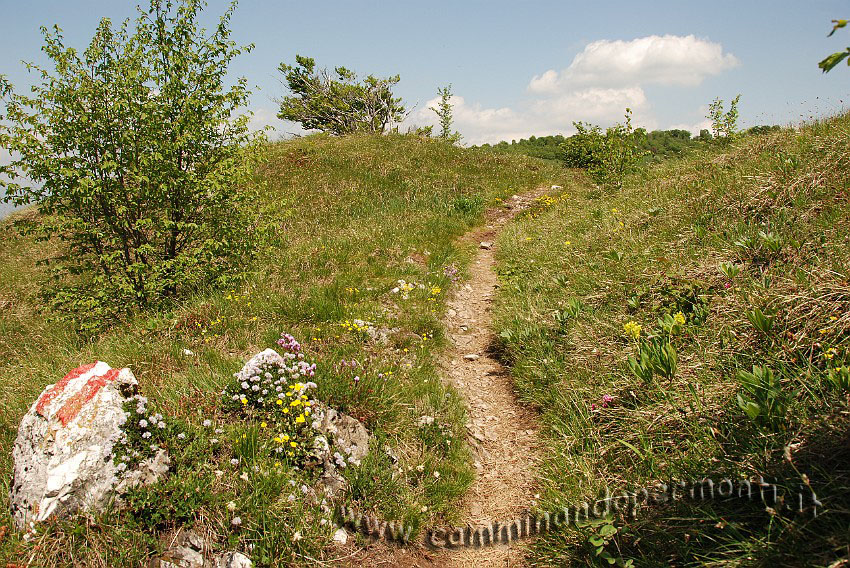 09 04345 Tratto del sentiero verso le stalle Fop.JPG